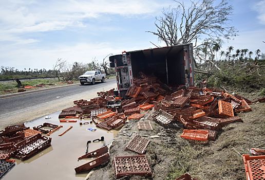 Число жертв урагана "Отис" в Мексике достигло 39