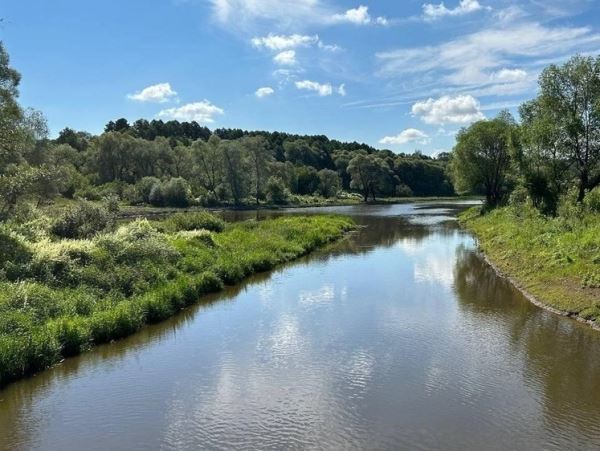 В Рязани завершили экологическое оздоровление реки СолотчиРасчистку проводили с 2020 г. в рамках федерального проекта «Сохранение уникальных водных объектов» нацпроекта «Экология». В Росводресурсах сообщили, что было затрачено 120,8 млн руб.